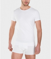 CAMISETA CRO ALGODON MC